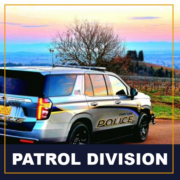 patrol division